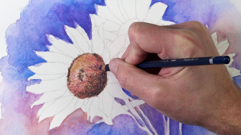 https://thevirtualinstructor.com/images/drawing-sunflower-center-watercolor-pencils.jpg