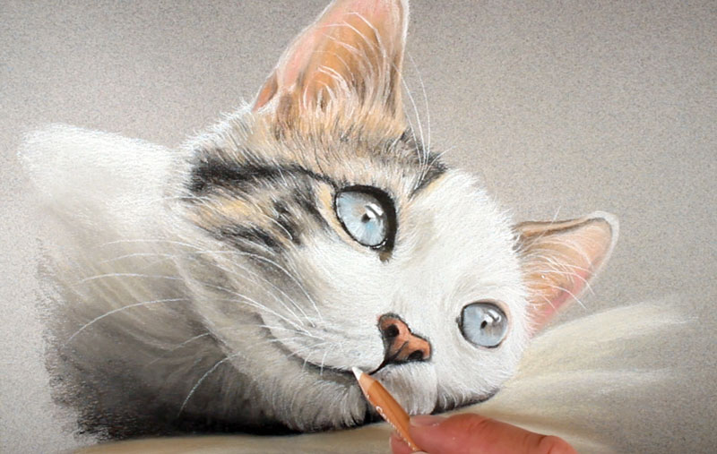Drawing the whiskers
