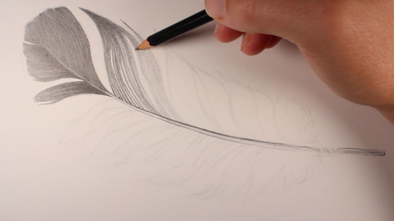 Using directional strokes to create texture