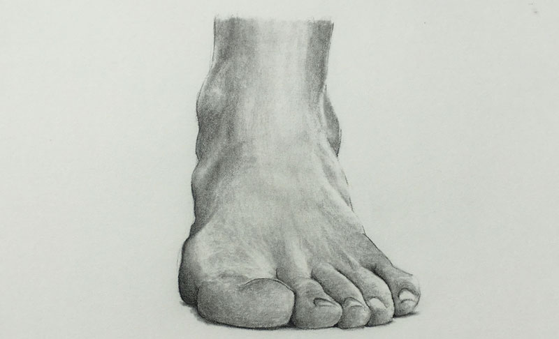 Drawing of a foot