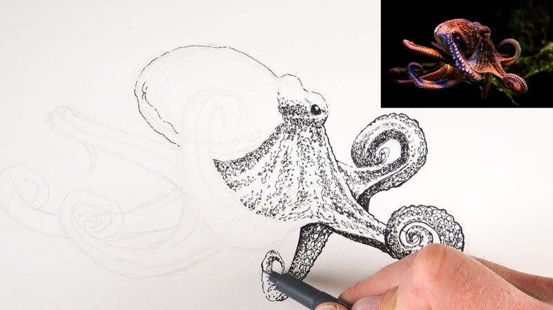 Drawing texture with pen and ink