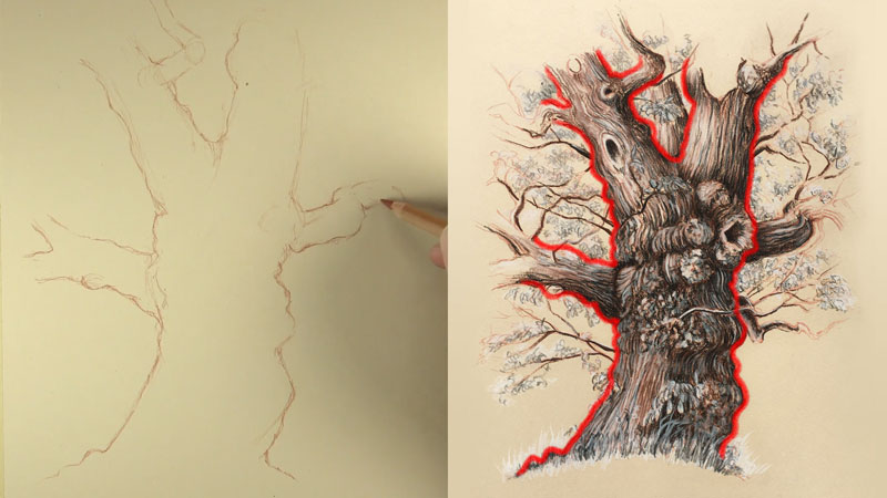 realistic tree trunk drawing