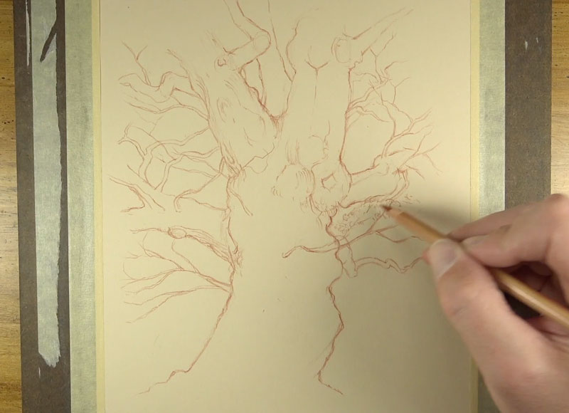 Enhancing line quality on the tree trunk