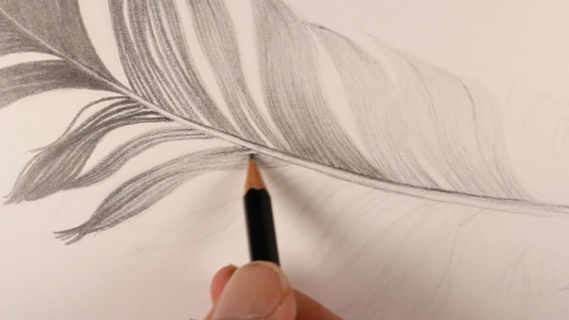 How To Draw A Feather