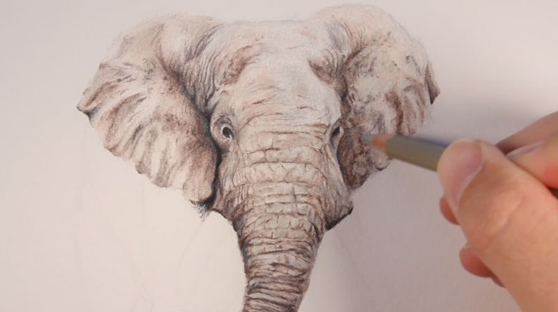 Adding details on the ear