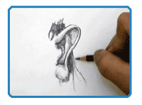 How to draw an ear