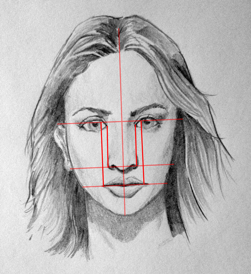 how to draw human faces proportions