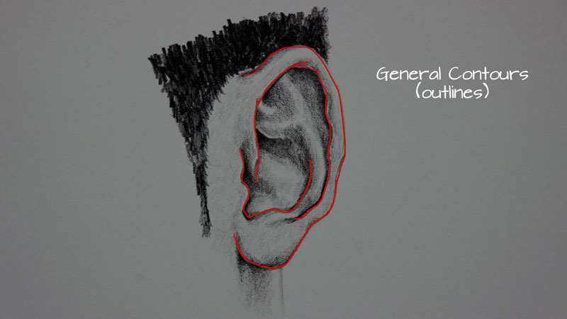 Ear Drawing | TikTok