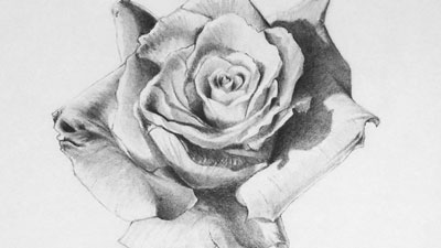 Pencil drawing texture study 1