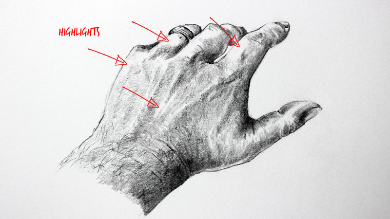 How to Draw a Hand: The basic shapes you should understand – LearnDrawing