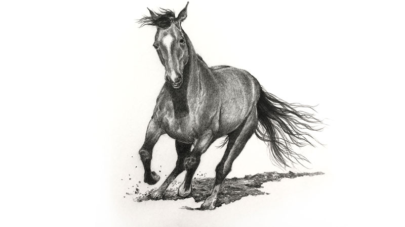 running horse drawing in pencil