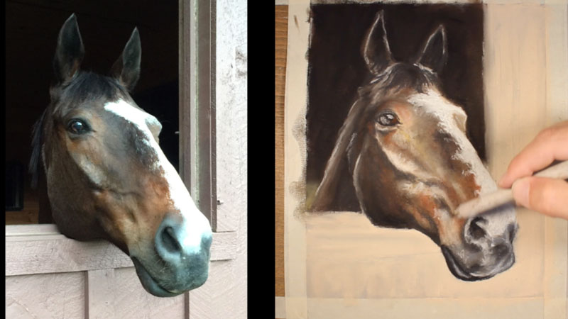 Pastel Drawing Charlie Horse Pastel Drawing & Illustration urtesi.com