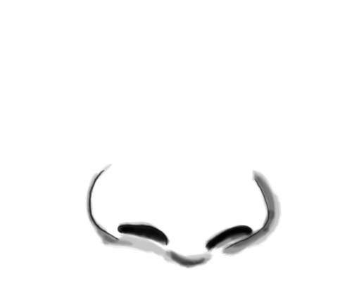 simple noses drawing How a Draw Nose to