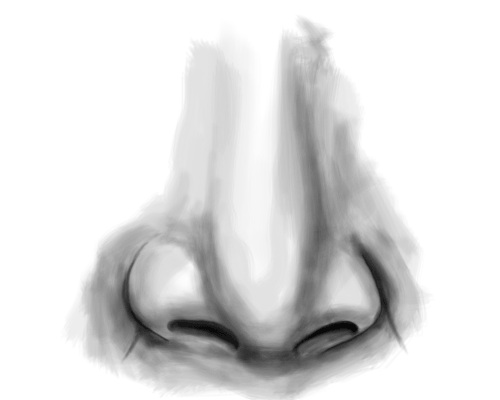 How To Draw A Nose 500 x 532 jpeg 45 kb. how to draw a nose