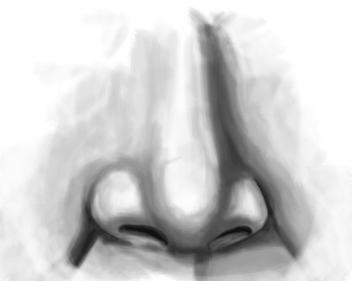 nose sketch side view