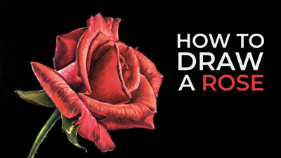 How to Draw a Rose