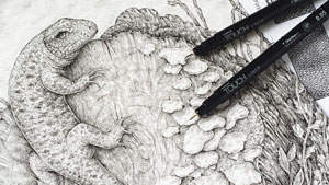 How to draw a lizard with pen and ink