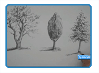 How to Draw Tress