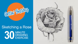Sketch a Rose