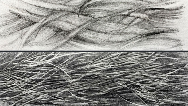 2 Drawings of Animal Fur
