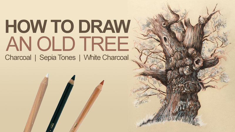 howtodrawanoldtree