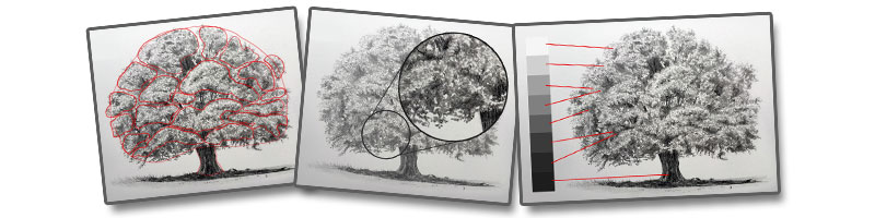 how to draw a realistic tree step by step easy