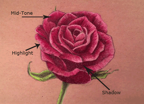 How To Draw A Rose With Colored Pencils Video Tutorial