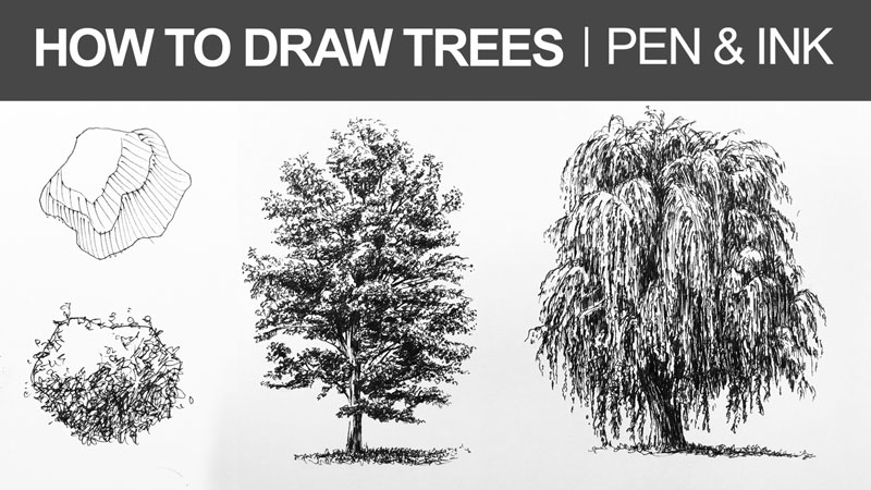 old pen and ink trees