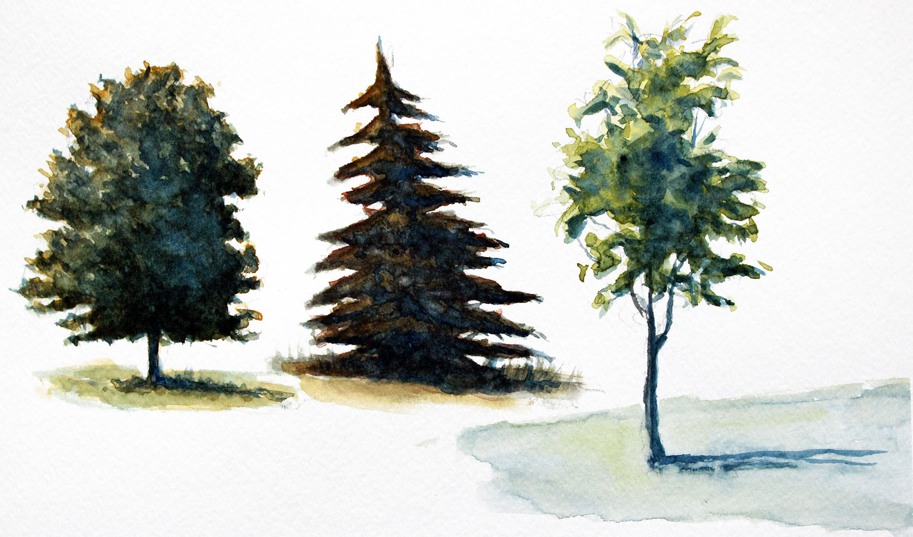 How to paint trees with watercolor 