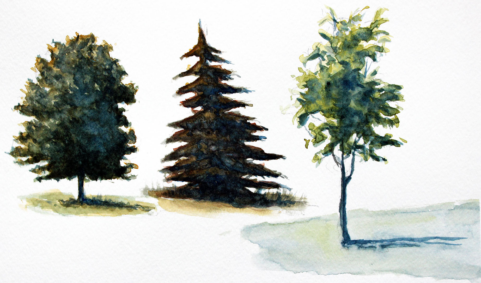 Update 127+ watercolor tree drawing latest - vietkidsiq.edu.vn