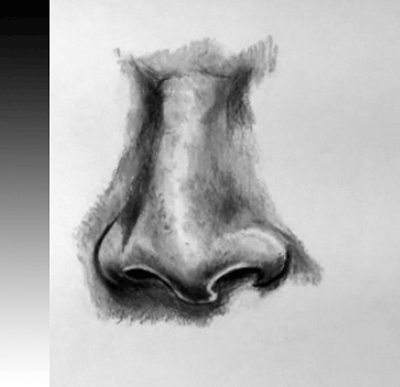 charcoal nose sketch