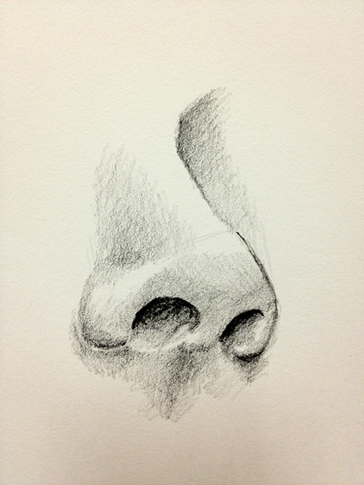 nose illustration