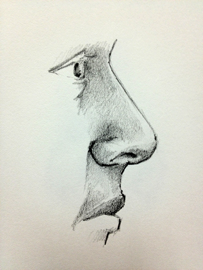 How To Draw A Nose  StepbyStep Guide  Artlex