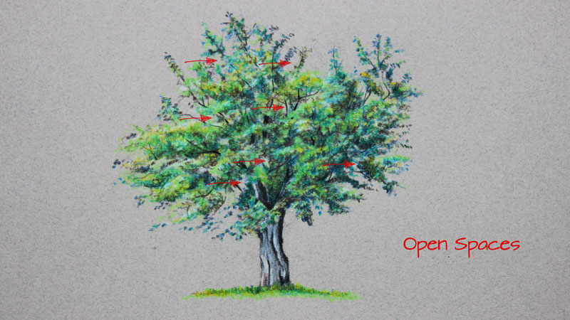 tree drawings in color