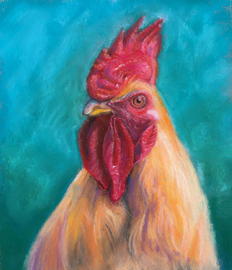 Pastel drawing of a rooster