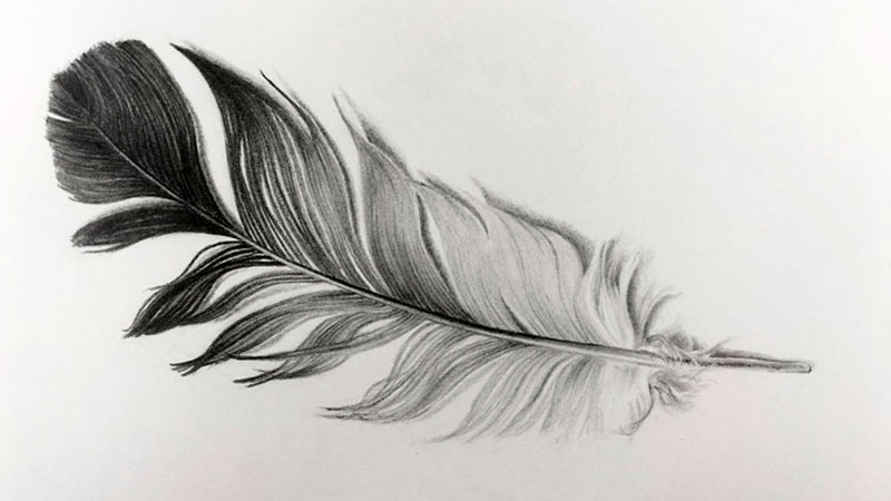 Graphite or Pencil Drawing Tutorials