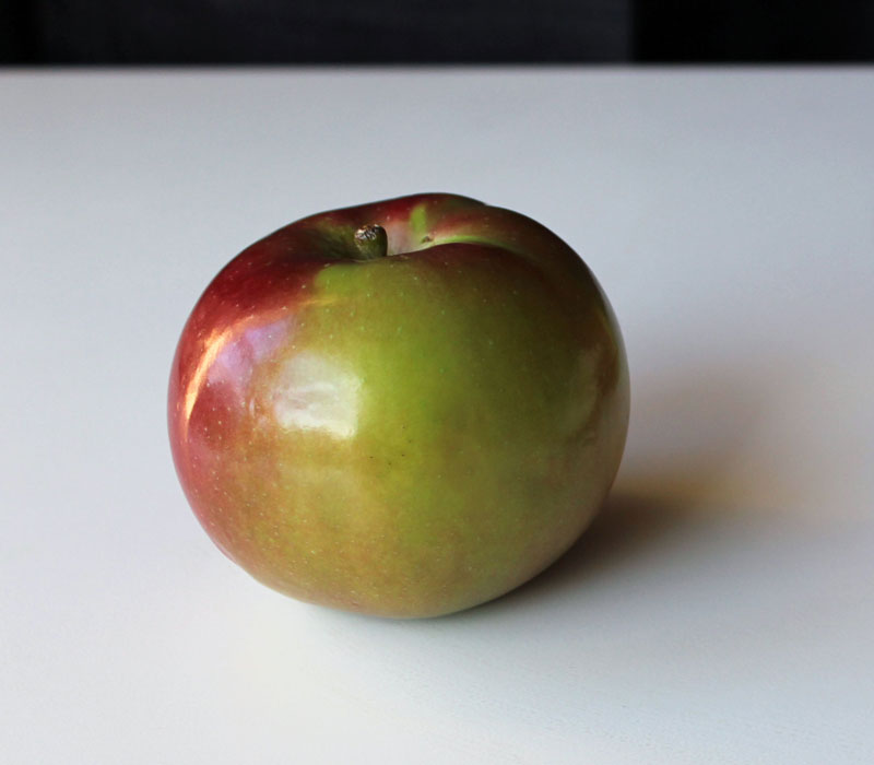 Apple Photo Reference