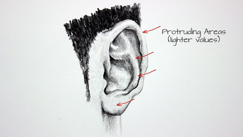 how to draw ears step by step