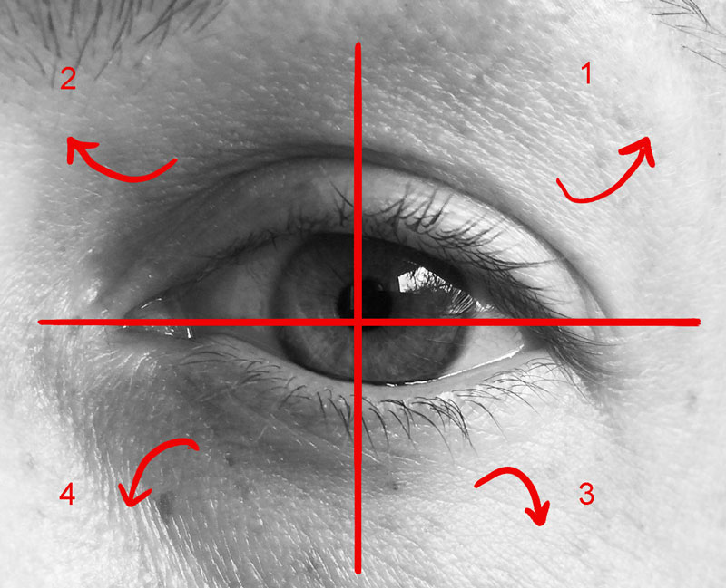 Drawing eyelashes Four quadrants of the eye