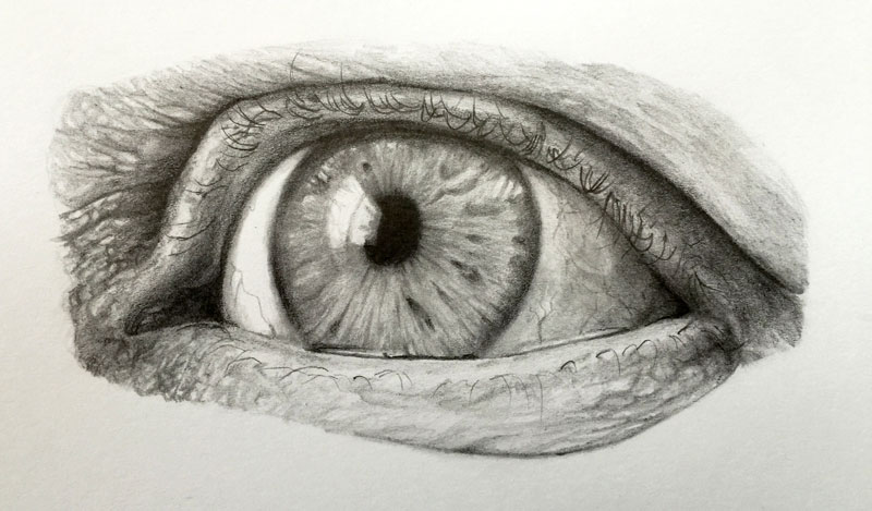 Realistic pencil drawing of an eye