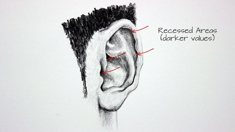 Pin on Ear drawing