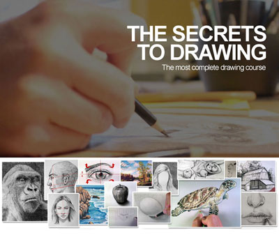 3 in 1 Art and Drawing Online Course – Summerart.in