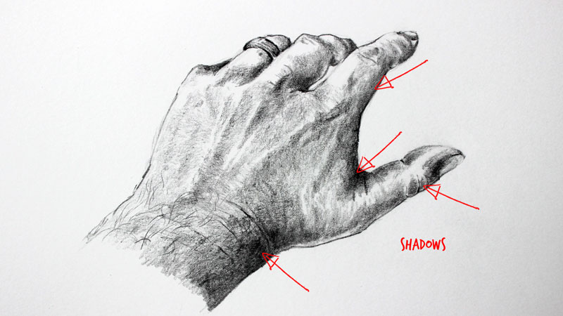 Pin by Jessica Gill on BuJo | How to draw hands, Hand art drawing, Hand  drawing reference