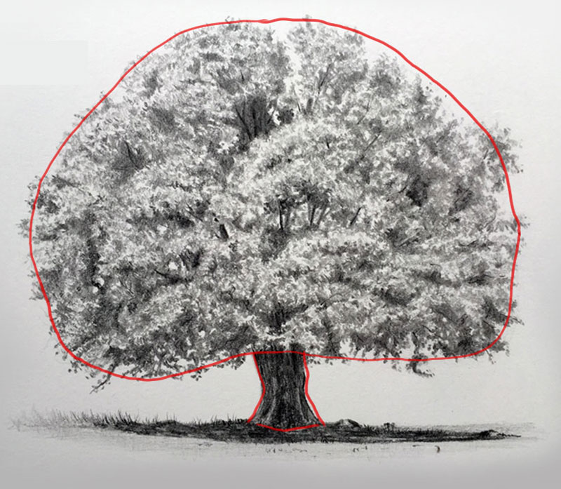 How to Draw Realistic Trees with Ink Pens: Observation, Shading