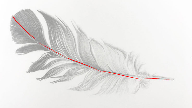 Feather Free Vector Coloring Pages Outline Sketch Drawing Easy Feather  Drawing Easy Feather Outline Easy Feather Sketch PNG and Vector with  Transparent Background for Free Download