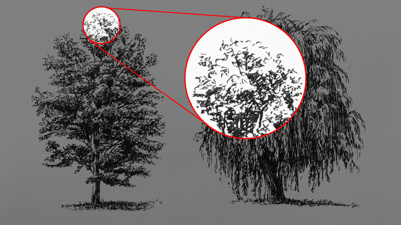 How to Draw Realistic Trees with Ink Pens: Observation, Shading