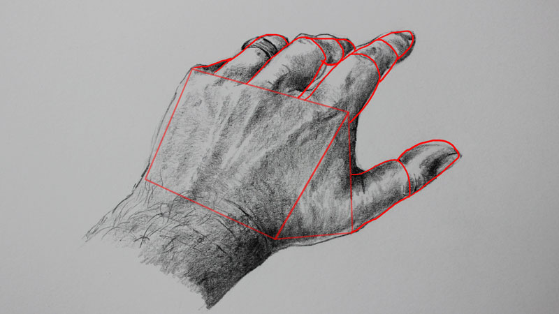 how to draw a realistic hand