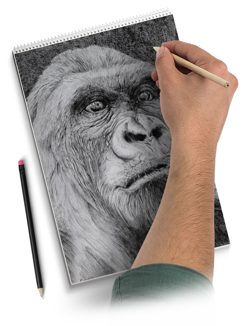 Free Art Lessons And Tutorials - TheVirtualInstructor.com