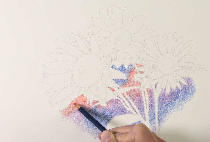 HOW TO USE WATERCOLOR PENCILS - Guide for Beginners 