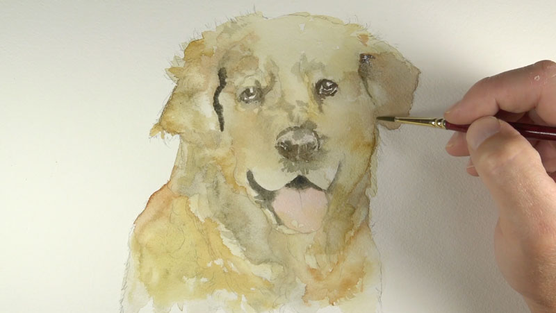watercolor dog easy